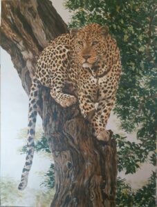 Leopard Öl Kunst Namibia